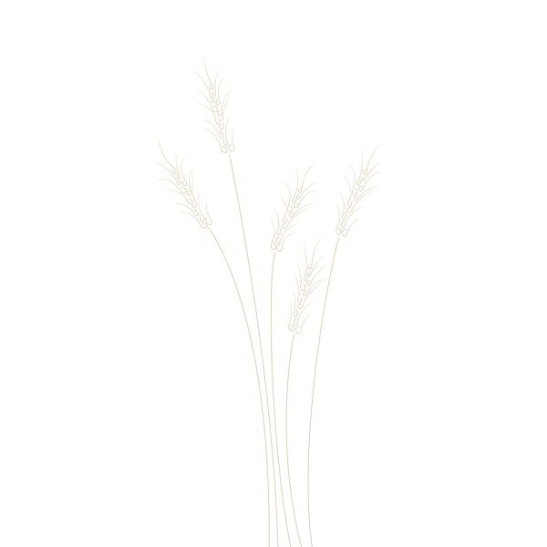 Wheat Grass MultiColor 50x70 cm
