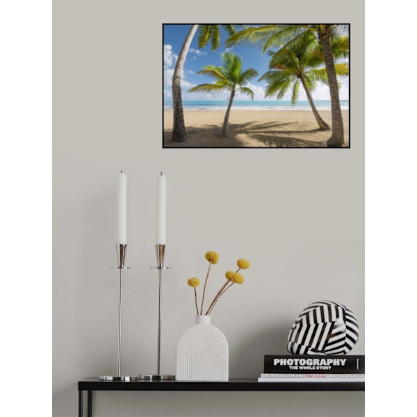 Palmy Beach Ii MultiColor 30x40 cm