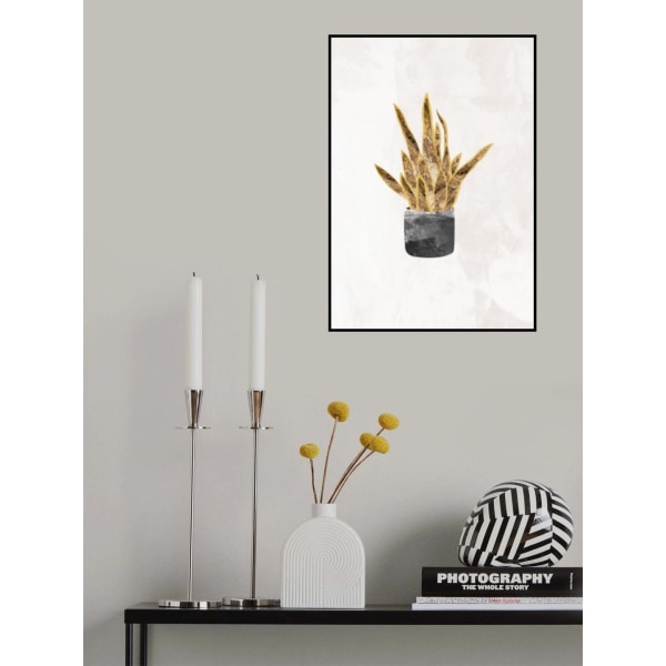 Black And Gold House Plant 1 MultiColor 21x30 cm