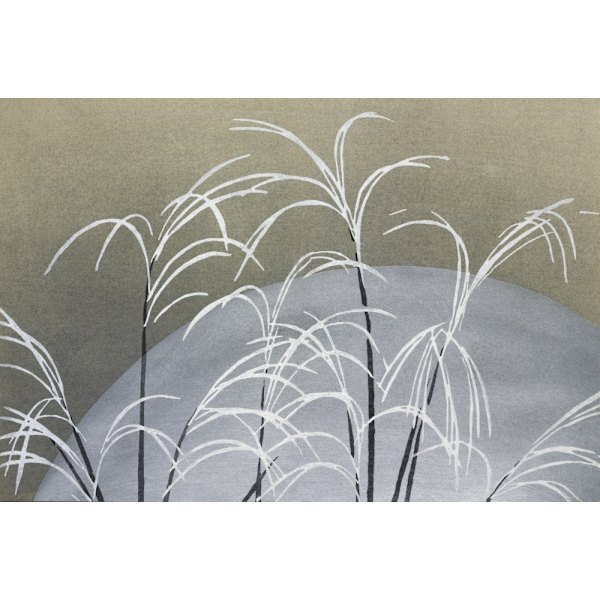 Frost From Momoyogusa MultiColor 30x40 cm