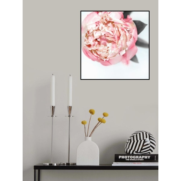 Blush Peony Iii MultiColor 50x70 cm