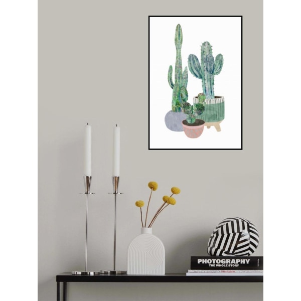 Scandi Japandi Cactus Trio MultiColor 30x40 cm