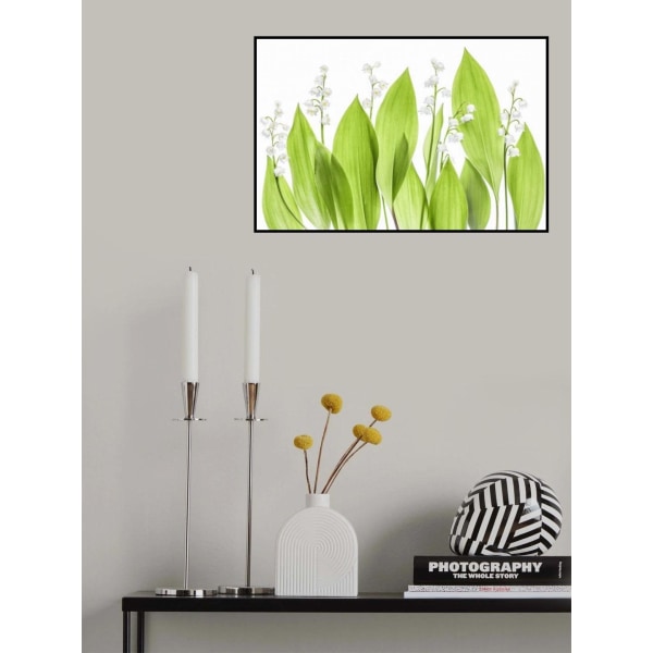 Lily Of The Valley MultiColor 70x100 cm