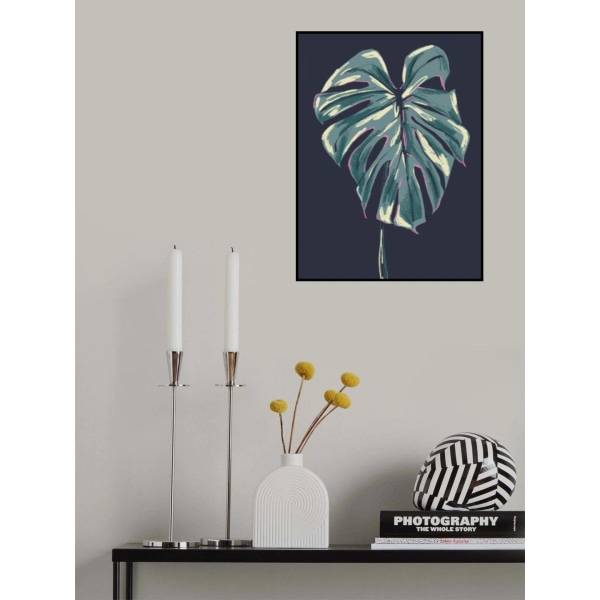 Monstera Deliciosa Dark MultiColor 70x100 cm