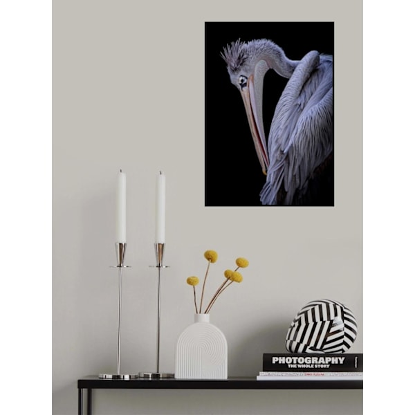 Poster MultiColor 21x30 cm