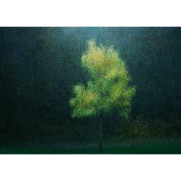 Kellastuminen MultiColor 70x100 cm