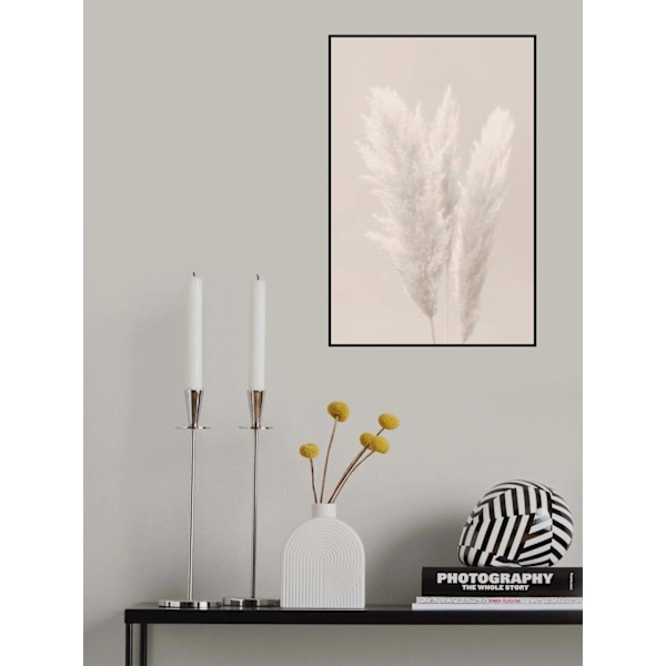 Pampas Grass_002 MultiColor 21x30 cm