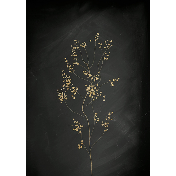 Black Gold Botanical No 3 MultiColor 21x30 cm