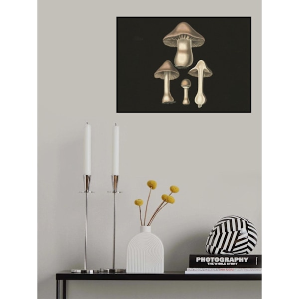 Agaricus Bulbosus Dark Background MultiColor 21x30 cm