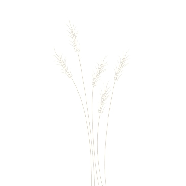 Wheat Grass MultiColor 21x30 cm