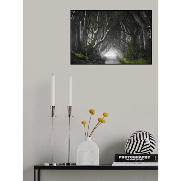 Dark Hedges MultiColor 21x30 cm