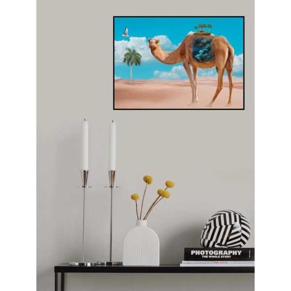 Camel MultiColor 70x100 cm