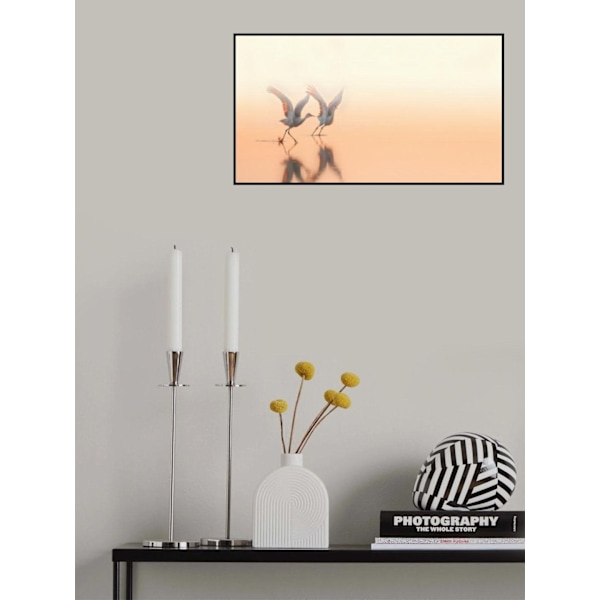 Crane Dance MultiColor 50x70 cm