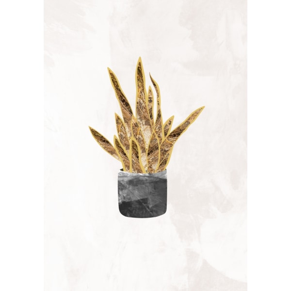 Black And Gold House Plant 1 MultiColor 21x30 cm