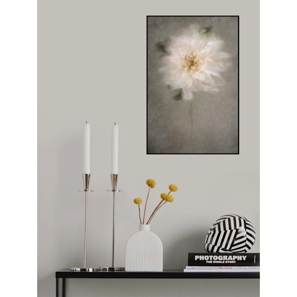 For The Bride MultiColor 70x100 cm