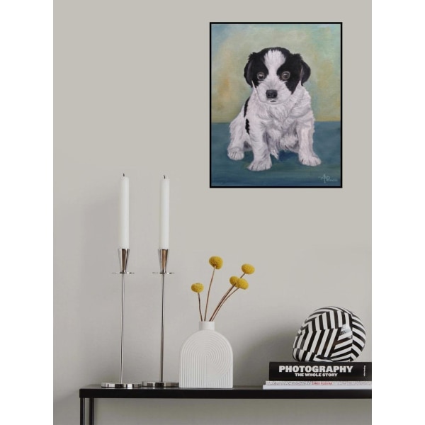 Bordercollie-pentu MultiColor 70x100 cm