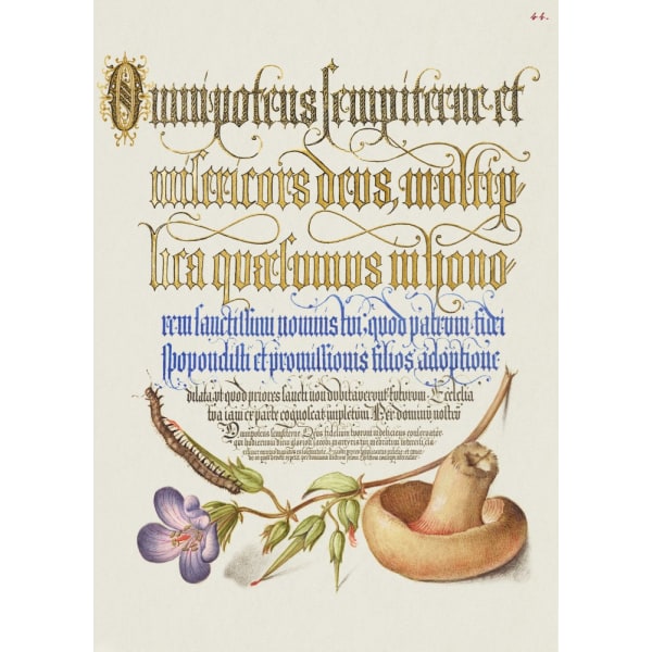 Svampeplakat MultiColor 21x30 cm