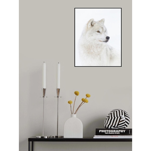 Portrait Of An Arctic Wolf MultiColor 21x30 cm