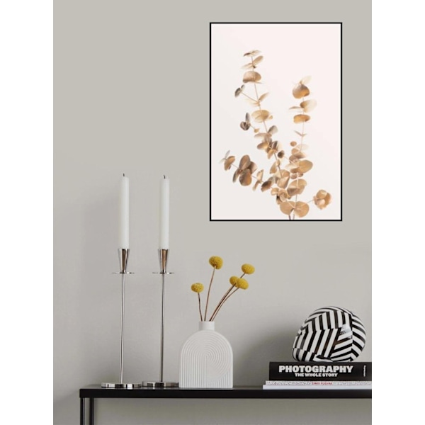 Eucalyptus Gold No 04 MultiColor 50x70 cm