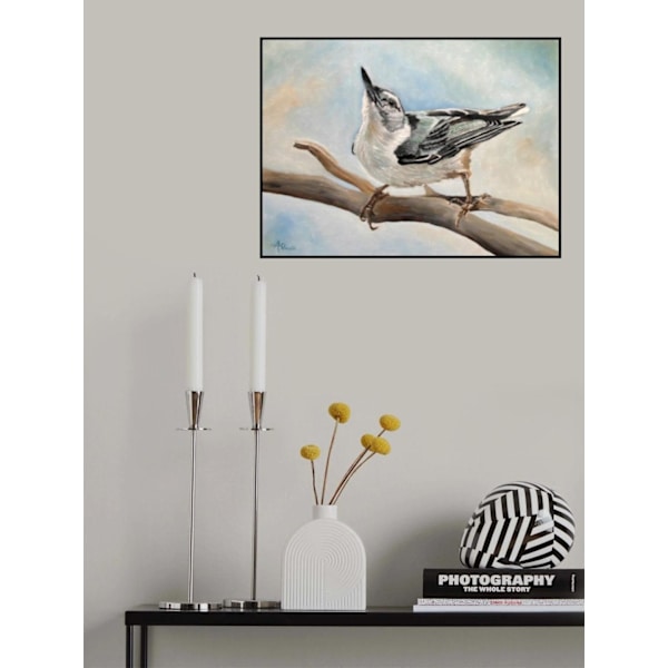 Virittäytyminen valkorintaiseen tikkaan MultiColor 70x100 cm