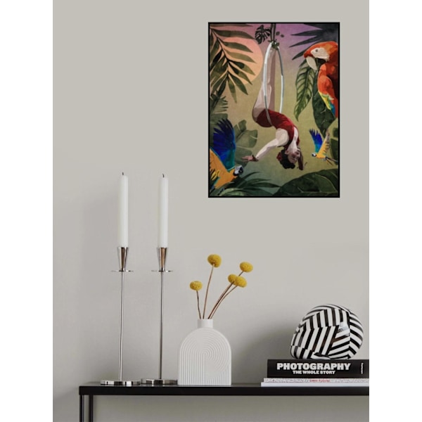 Papagan Ve Strapezci MultiColor 50x70 cm