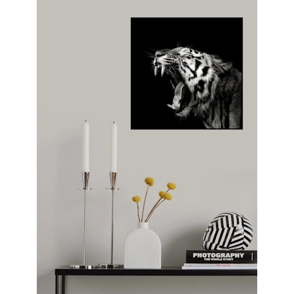 Primal Yawn 4 MultiColor 30x40 cm