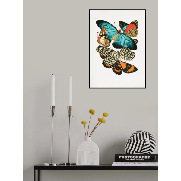 Butterflies 1 MultiColor 30x40 cm