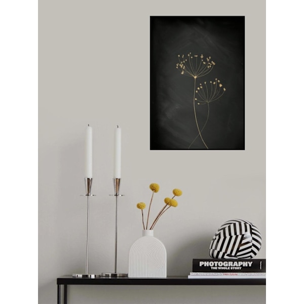 Black Gold Botanical No 2 MultiColor 70x100 cm