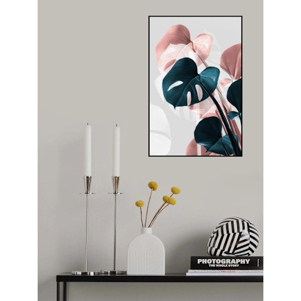 Monstera Creative 17 MultiColor 21x30 cm