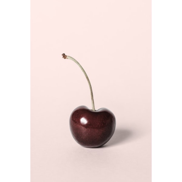 Single Cherry MultiColor 50x70 cm