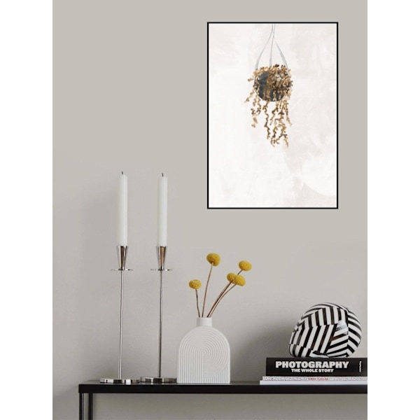 Black And Gold House Plant 2 MultiColor 21x30 cm