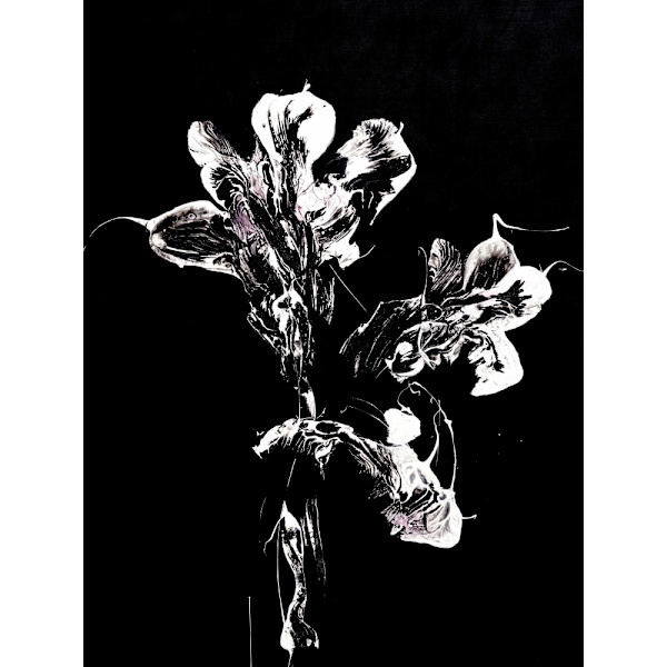 Midnight Disguise MultiColor 21x30 cm