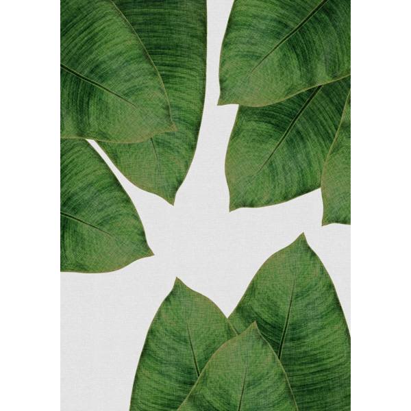 Banana Leaf I MultiColor 30x40 cm