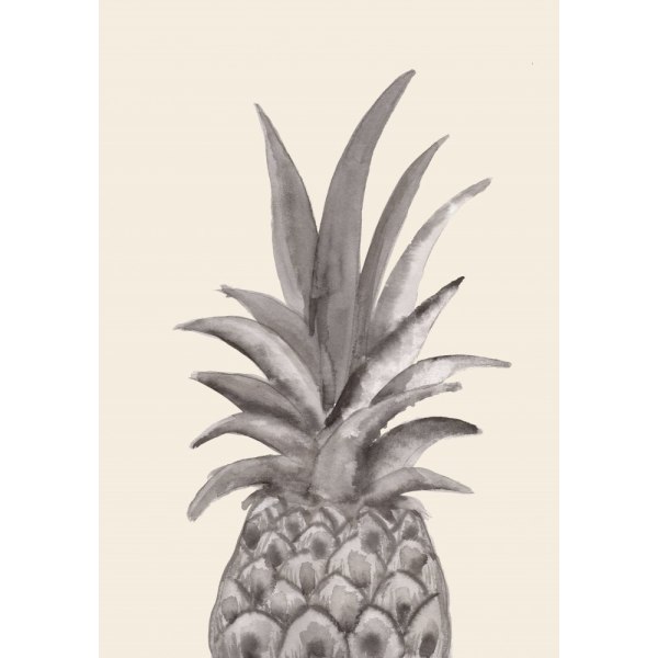 Ink Pineapple MultiColor 70x100 cm