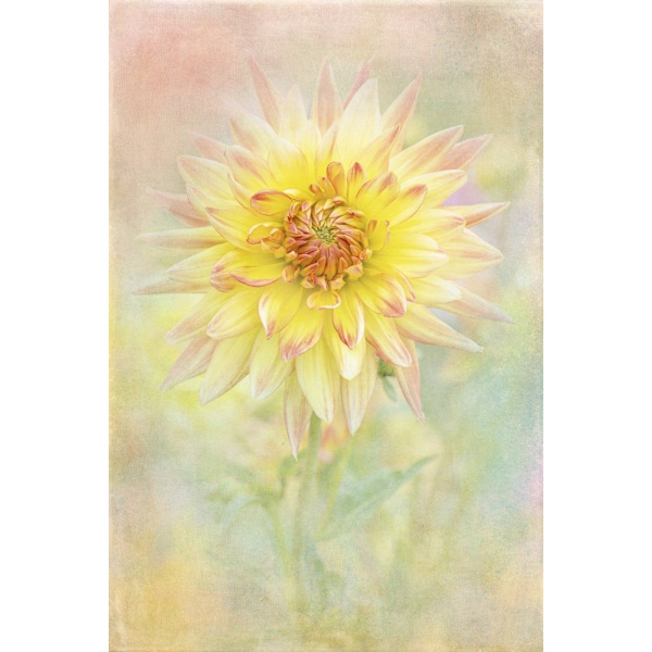 Lemon Spritz MultiColor 21x30 cm