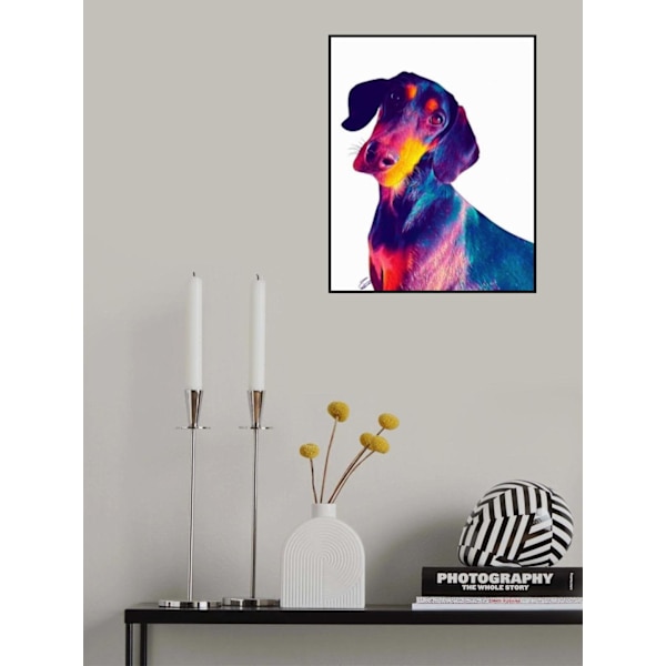 Finn Dog MultiColor 70x100 cm