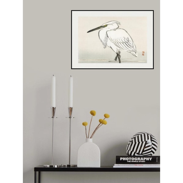 Snowy Egret MultiColor 30x40 cm