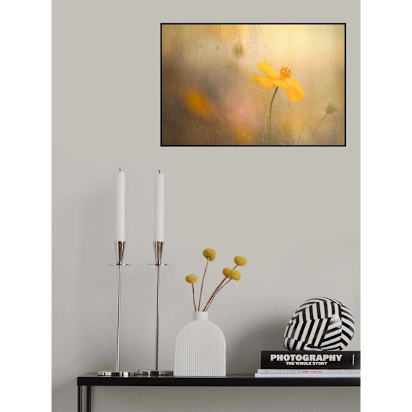 Cosmos In Rain MultiColor 30x40 cm