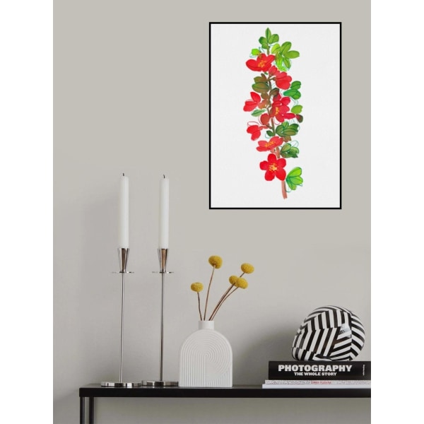 Japansk Kvede Eller Chaenomeles Japonica Botanisk Maleri MultiColor 30x40 cm