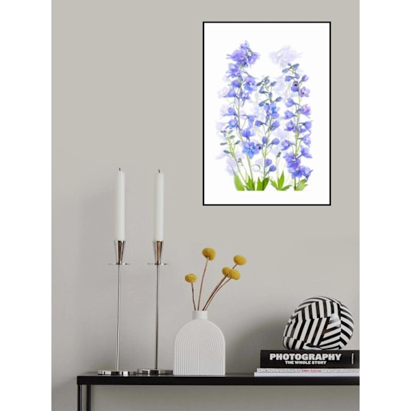 Delphinium MultiColor 50x70 cm