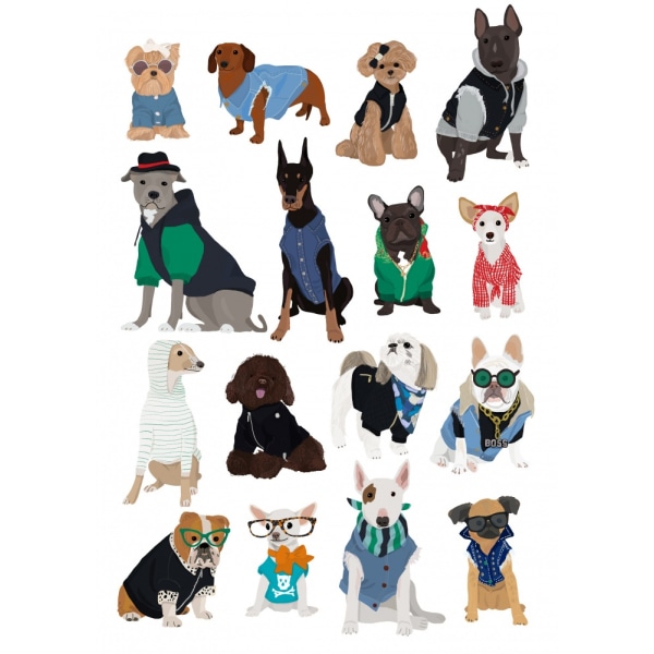 Kul Hundetrykk MultiColor 21x30 cm