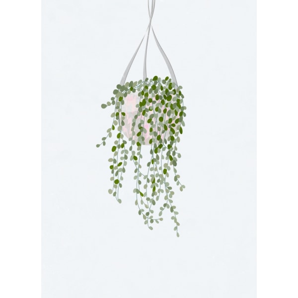 Scandi Japandi String Of Pearls MultiColor 21x30 cm