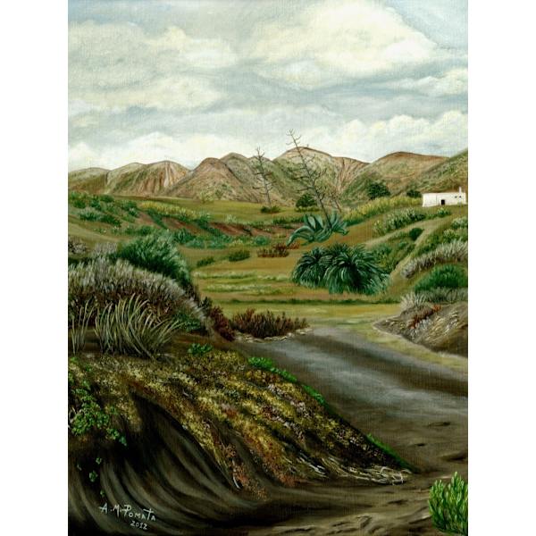 Pitas' Path MultiColor 30x40 cm