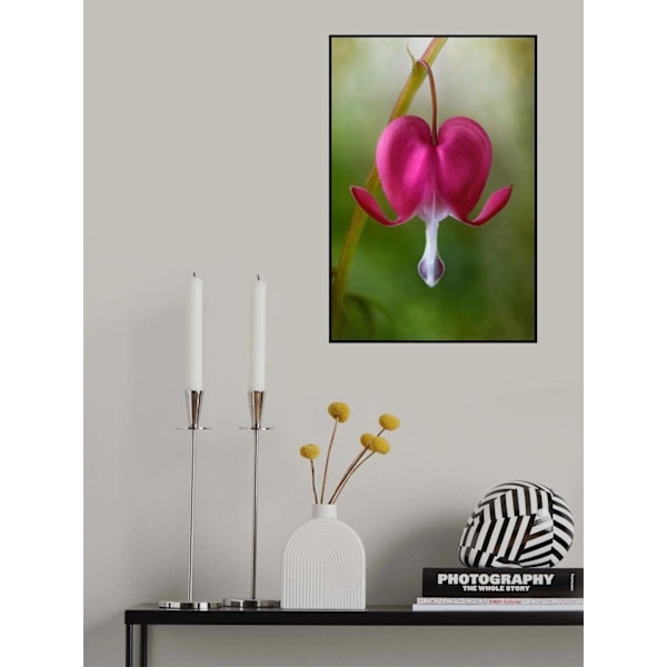Bleeding Heart MultiColor 21x30 cm