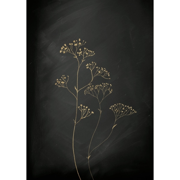 Black Gold Botanical No 1 MultiColor 21x30 cm