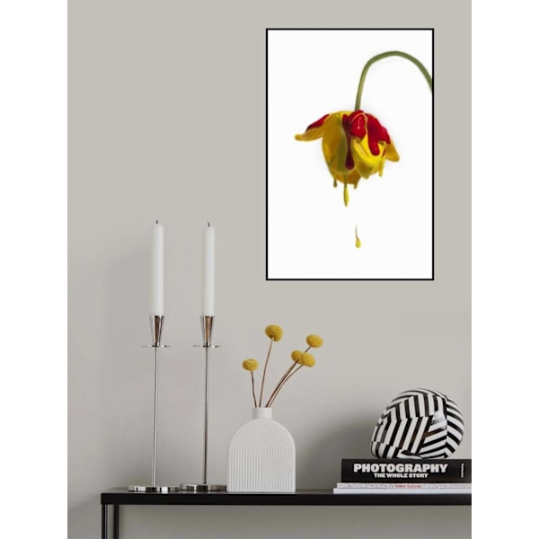Crying Flower MultiColor 21x30 cm