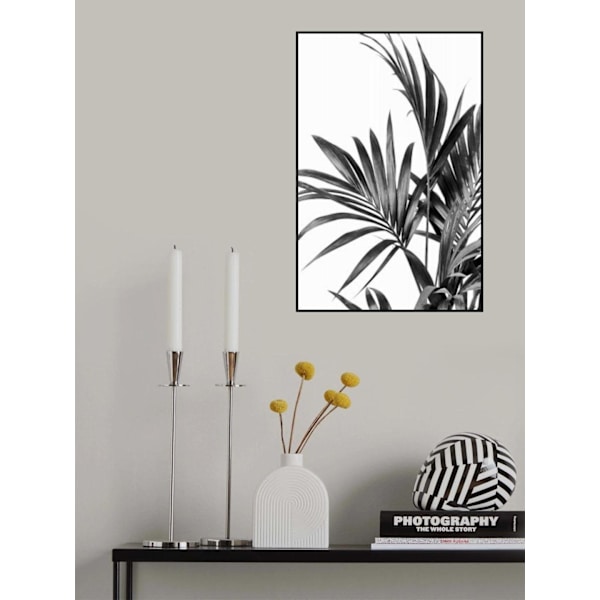 Palm Leaves Black And White 01 MultiColor 70x100 cm