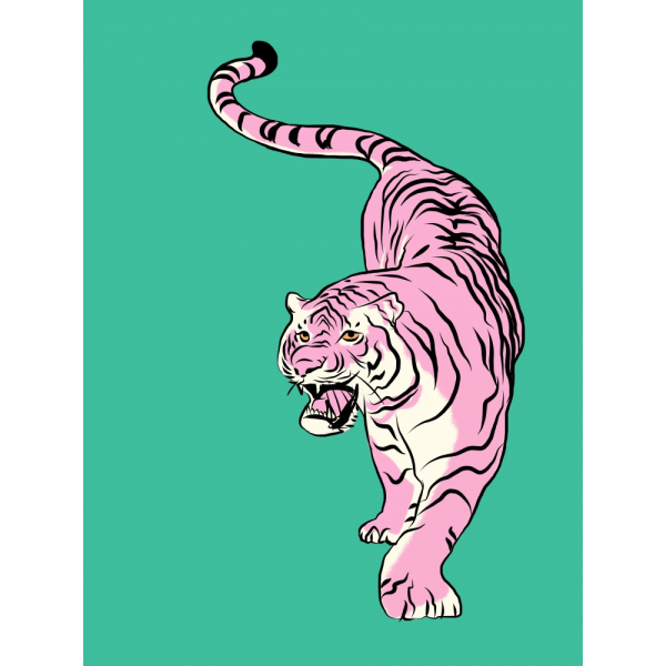 Tiger i lyse rosa og grøn MultiColor 21x30 cm