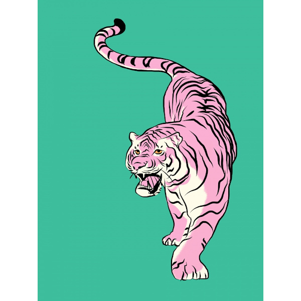 Tiger In Light Pink And Green MultiColor 21x30 cm