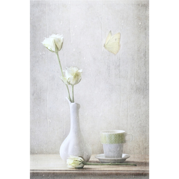 Soft White Petals MultiColor 21x30 cm